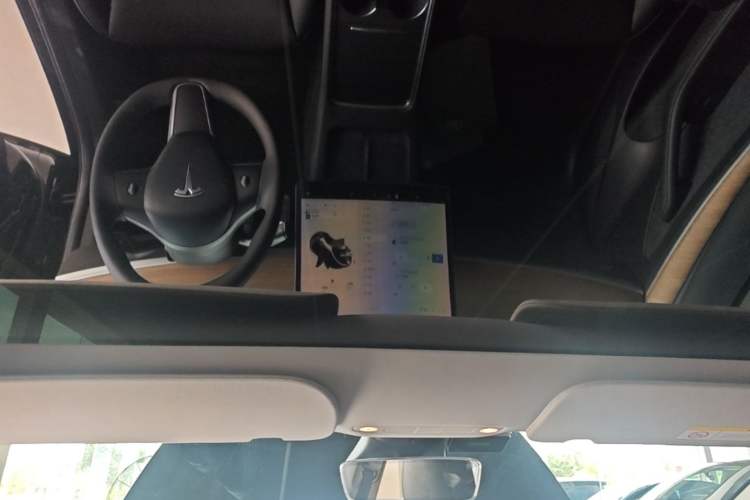 Used Tesla Model 3 2021 Standard Range Rear-Drive Upgraded Version Headliner