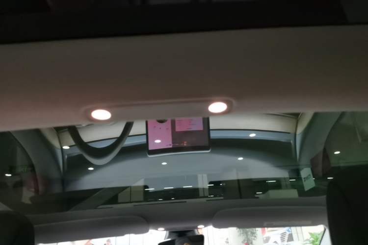 Used Tesla Model 3 2021 Standard Range Rear-Drive Upgraded Version Headliner