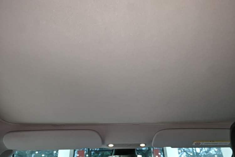 Used Tesla Model 3 2021 Standard Range Rear-Drive Upgraded Version Headliner