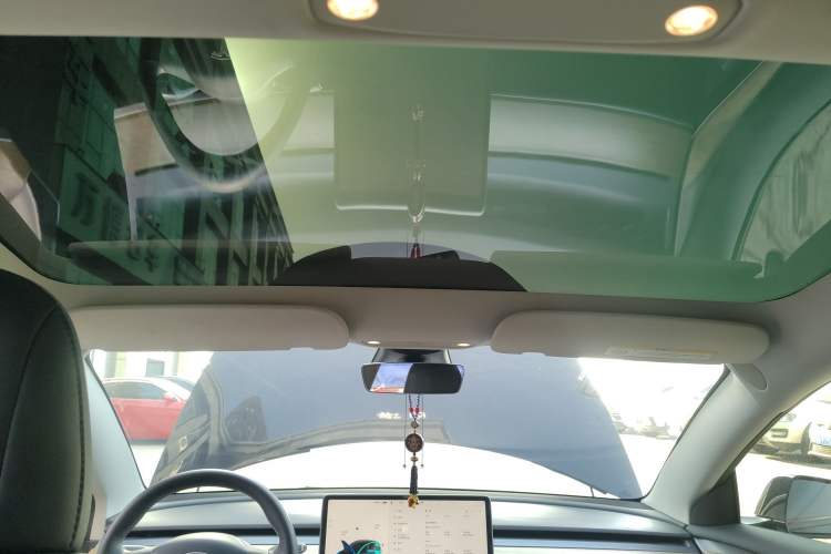 Used Tesla Model 3 2021 Standard Range Rear-Wheel Drive Upgraded Version 3D6 Headliner