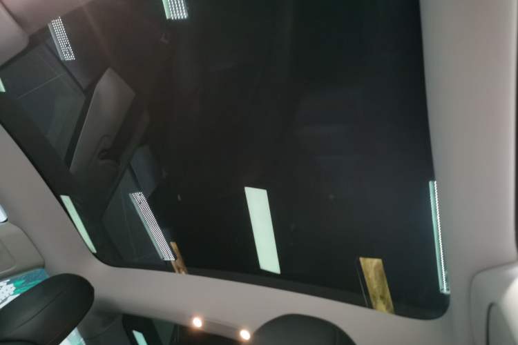 Used Tesla Model 3 2021 Performance High-Performance All-Wheel-Drive Version Headliner