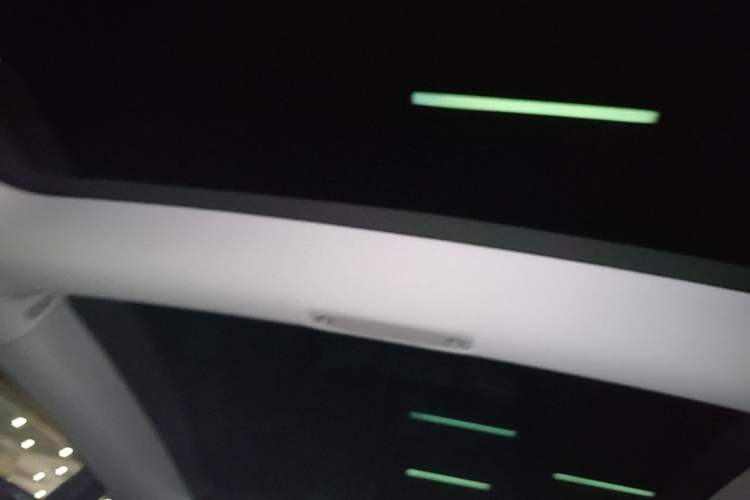 Used Tesla Model 3 2021 Standard Range Rear-Drive Upgraded Version Headliner