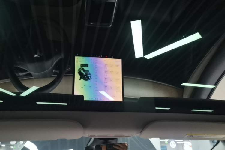 Used Tesla Model 3 2021 Standard Range Rear-Wheel Drive Upgraded Version 3D6 Headliner
