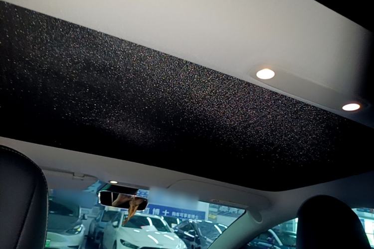 Used Tesla Model 3 2021 Standard Range Rear-Drive Upgraded Version Headliner