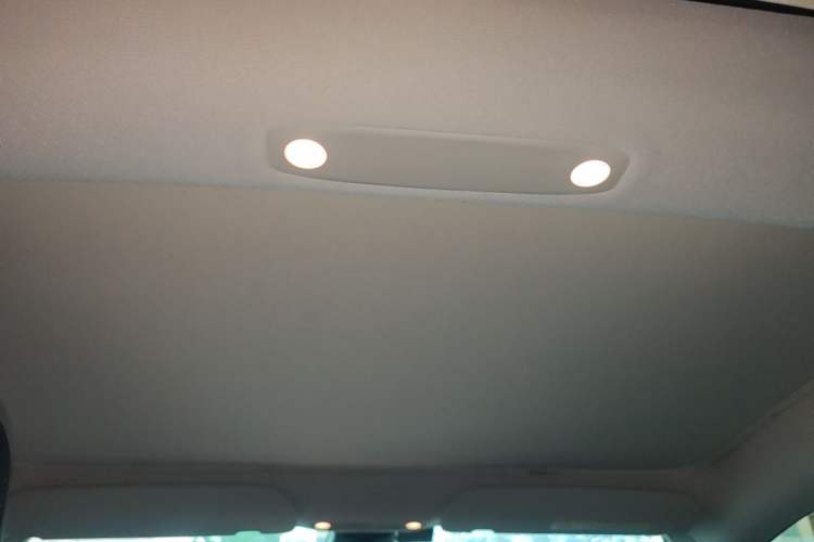 Used Tesla Model 3 2021 Standard Range Rear-Wheel Drive Upgraded Version 3D6 Headliner