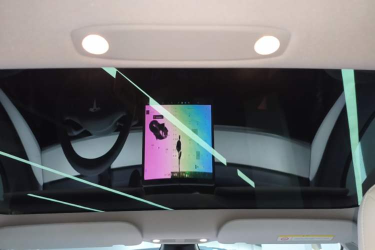 Used Tesla Model 3 2021 Standard Range Rear-Drive Upgraded Version Headliner