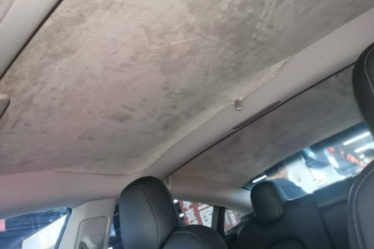 Used Tesla Model 3 2021 Standard Range Rear-Wheel Drive Upgraded Version 3D6 Headliner