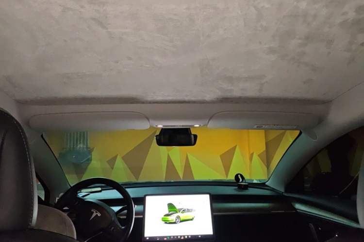 Used Tesla Model 3 2021 Revised Version II – Performance High-Performance All-Wheel-Drive Edition Headliner