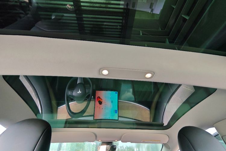 Used Tesla Model 3 2021 Standard Range Rear-Wheel Drive Upgraded Version 3D6 Headliner