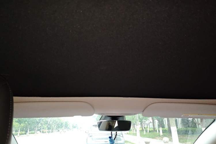 Used Tesla Model 3 2021 Standard Range Rear-Drive Upgraded Version Headliner