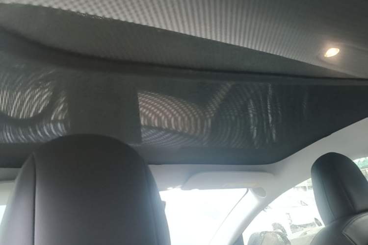Used Tesla Model 3 2021 Performance High-Performance All-Wheel-Drive Version Headliner