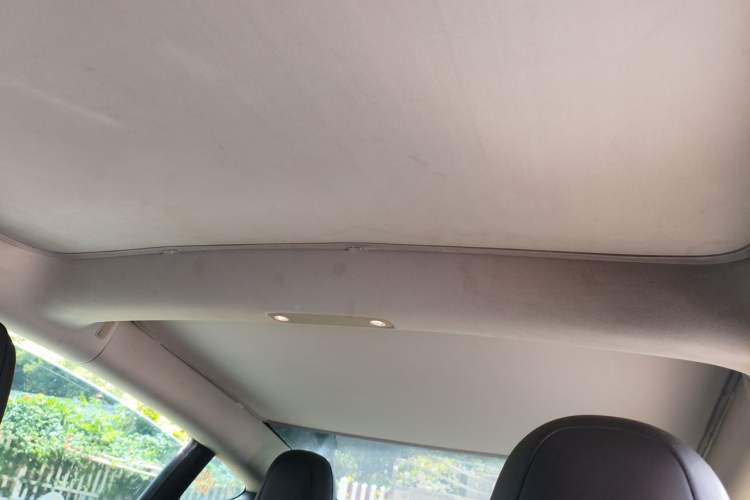 Used Tesla Model 3 2021 Standard Range Rear-Drive Upgraded Version Headliner