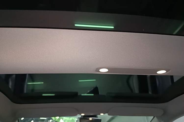Used Tesla Model 3 2021 Revised Version II – Performance High-Performance All-Wheel-Drive Edition Headliner