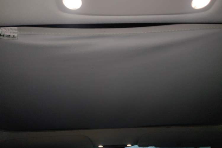 Used Tesla Model 3 2021 Standard Range Rear-Wheel Drive Upgraded Version 3D6 Headliner