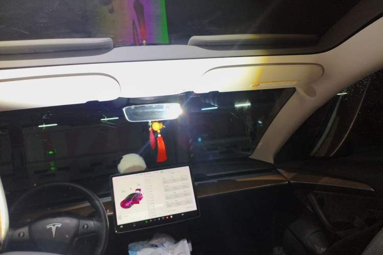 Used Tesla Model 3 2021 Standard Range Rear-Drive Upgraded Version Headliner
