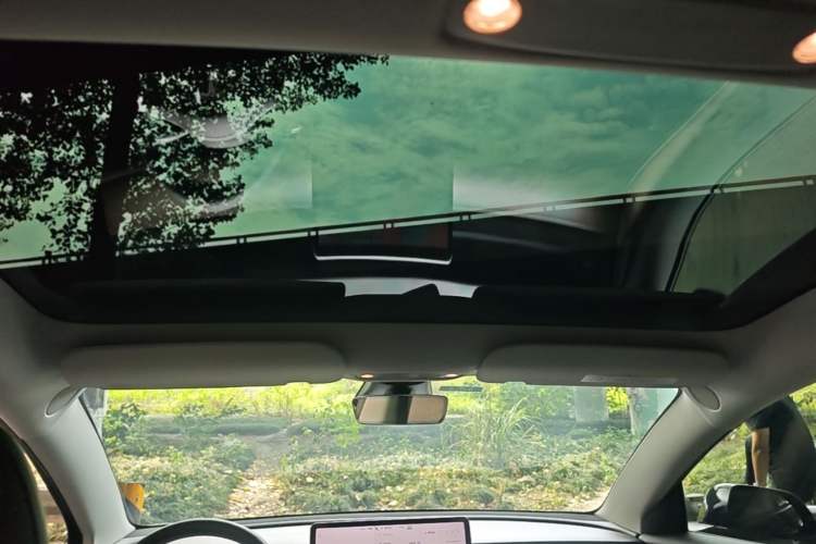Used Tesla Model 3 2021 Revised Version Standard Range Rear-Wheel Drive Upgraded Edition 3D1 Headliner