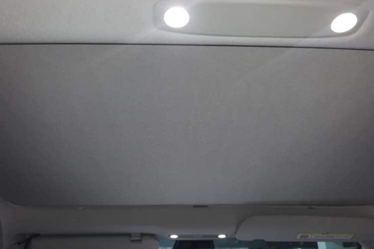 Used Tesla Model 3 2021 Standard Range Rear-Wheel Drive Upgraded Version 3D6 Headliner