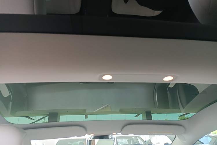 Used Tesla Model 3 2021 Standard Range Rear-Wheel Drive Upgraded Version 3D6 Headliner