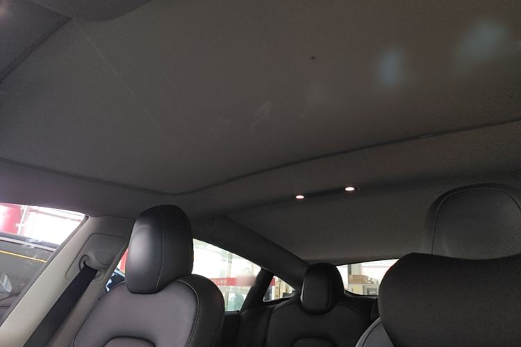 Used Tesla Model 3 2021 Standard Range Rear-Wheel Drive Upgraded Version 3D6 Headliner