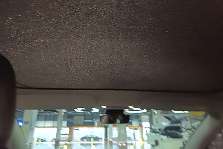 Used Tesla Model 3 2021 Standard Range Rear-Drive Upgraded Version Headliner