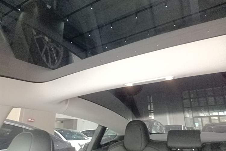 Used Tesla Model 3 2021 Standard Range Rear-Wheel Drive Upgraded Version 3D6 Headliner