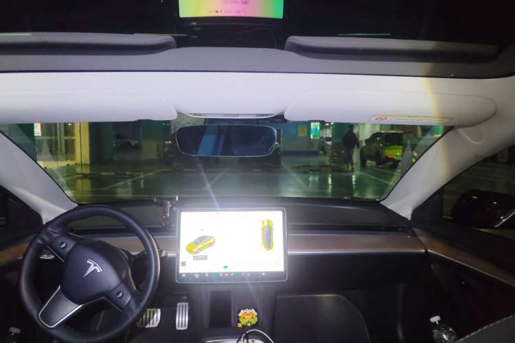 Used Tesla Model 3 2021 Performance High-Performance All-Wheel-Drive Version Headliner