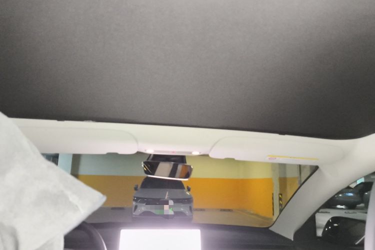 Used Tesla Model 3 2021 Revised Version II – Performance High-Performance All-Wheel-Drive Edition Headliner