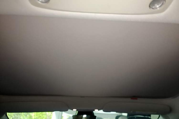 Used Tesla Model 3 2021 Performance High-Performance All-Wheel-Drive Version Headliner
