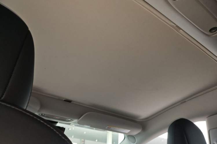 Used Tesla Model 3 2021 Revised Version Standard Range Rear-Wheel Drive Upgraded Edition 3D1 Headliner