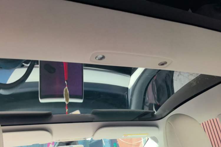 Used Tesla Model 3 2021 Standard Range Rear-Drive Upgraded Version Headliner