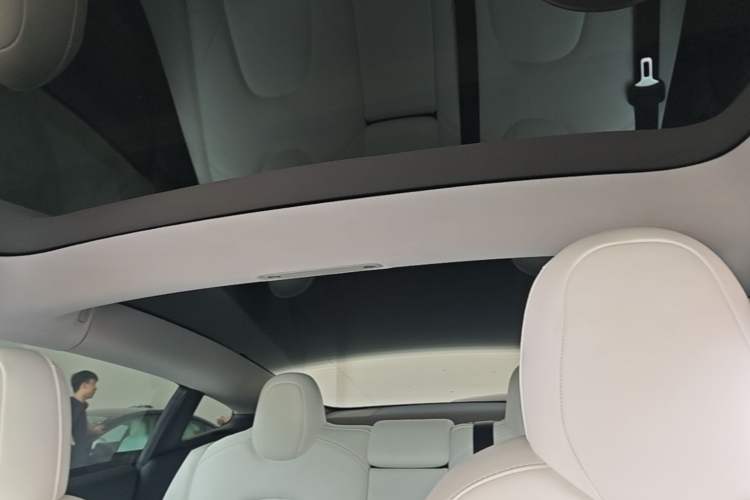 Used Tesla Model 3 2021 Performance High-Performance All-Wheel-Drive Version Headliner