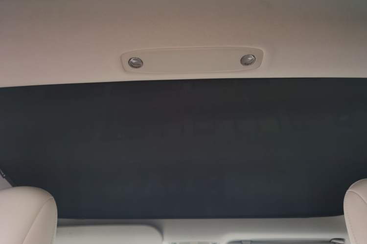 Used Tesla Model 3 2021 Performance High-Performance All-Wheel-Drive Version 3D6 Headliner