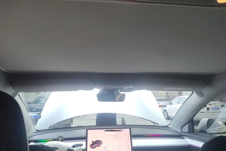 Used Tesla Model 3 2021 Performance High-Performance All-Wheel-Drive Version Headliner