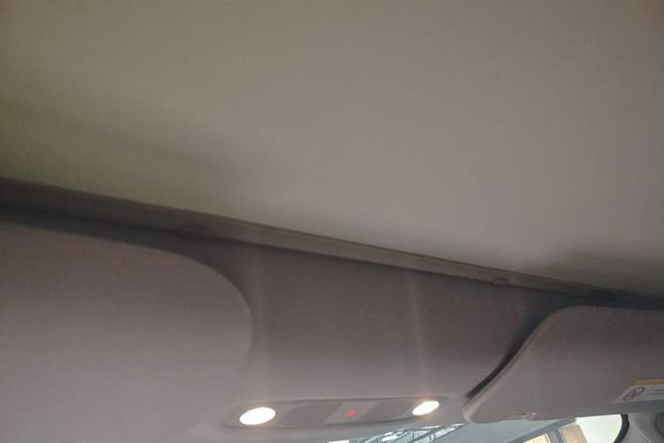 Used Tesla Model 3 2021 Standard Range Rear-Wheel Drive Upgraded Version 3D6 Headliner