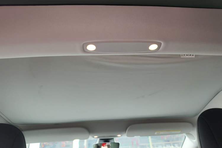 Used Tesla Model 3 2021 Standard Range Rear-Wheel Drive Upgraded Version 3D6 Headliner