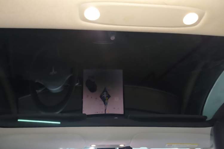 Used Tesla Model 3 2021 Standard Range Rear-Drive Upgraded Version Headliner