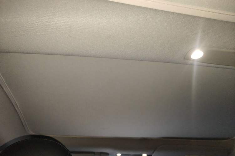 Used Tesla Model 3 2021 Performance High-Performance All-Wheel-Drive Version Headliner