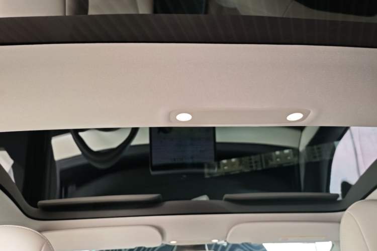 Used Tesla Model 3 2021 Performance High-Performance All-Wheel-Drive Version 3D6 Headliner