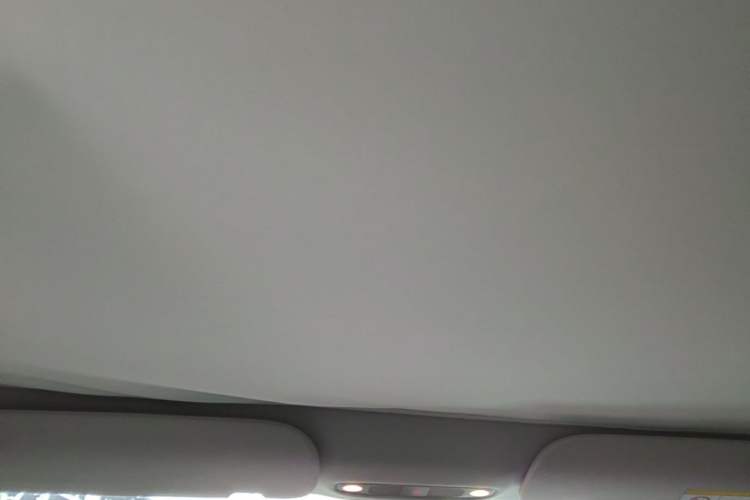 Used Tesla Model 3 2021 Standard Range Rear-Wheel Drive Upgraded Version 3D6 Headliner