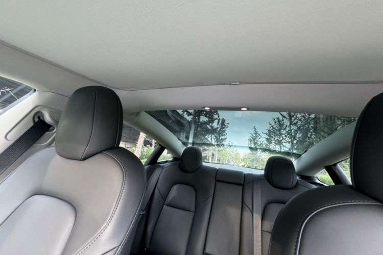 Used Tesla Model 3 2021 Standard Range Rear-Wheel Drive Upgraded Version 3D6 Headliner