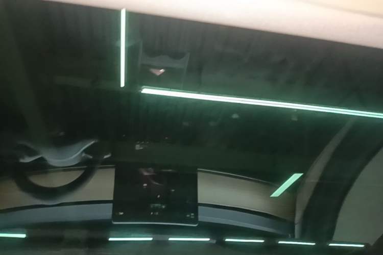 Used Tesla Model 3 2021 Revised Version II – Performance High-Performance All-Wheel-Drive Edition Headliner