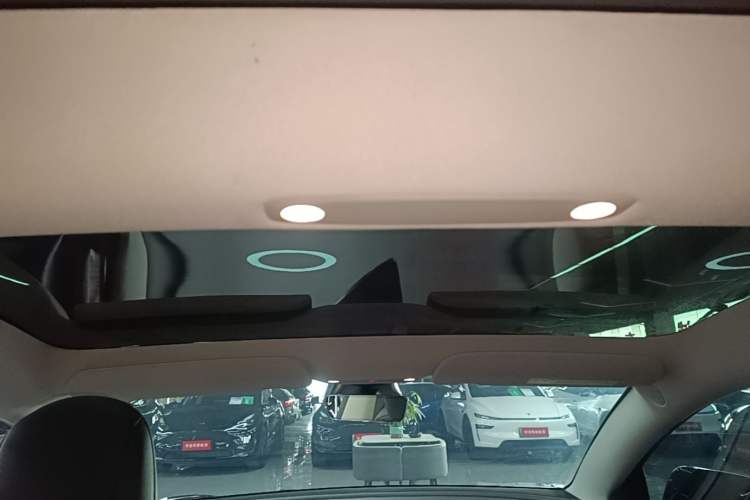 Used Tesla Model 3 2021 Revised Version Standard Range Rear-Wheel Drive Upgraded Edition 3D1 Headliner