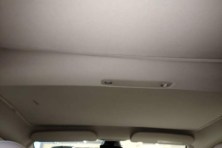 Used Tesla Model 3 2021 Revised Version Standard Range Rear-Wheel Drive Upgraded Edition 3D1 Headliner