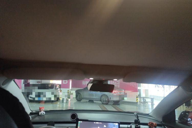 Used Tesla Model 3 2021 Revised Version II – Performance High-Performance All-Wheel-Drive Edition Headliner