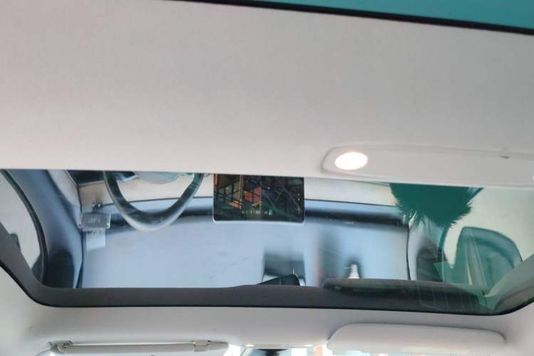 Used Tesla Model 3 2021 Standard Range Rear-Wheel Drive Upgraded Version 3D6 Headliner