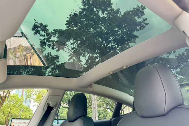 Used Tesla Model 3 2021 Standard Range Rear-Wheel Drive Upgraded Version 3D6 Headliner