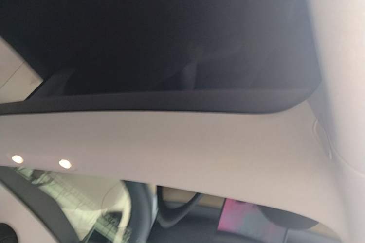 Used Tesla Model 3 2021 Standard Range Rear-Drive Upgraded Version Headliner