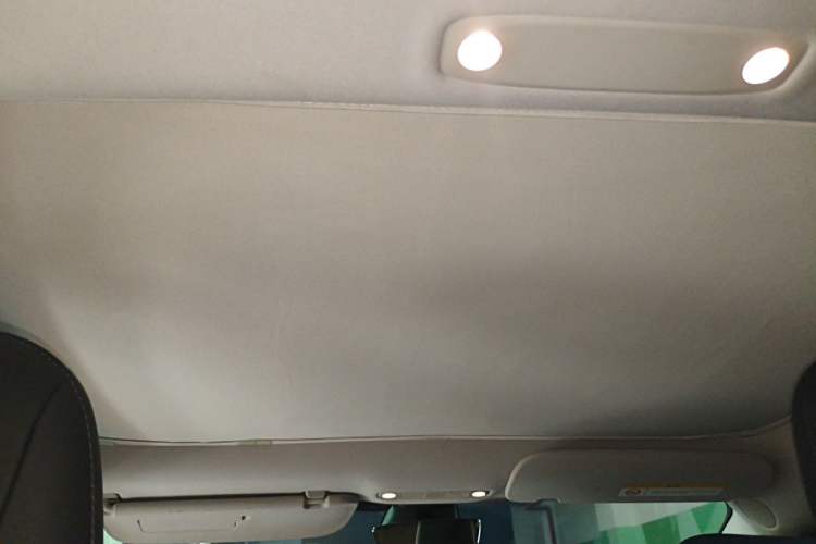 Used Tesla Model 3 2021 Revised Version Standard Range Rear-Wheel Drive Upgraded Edition 3D1 Headliner
