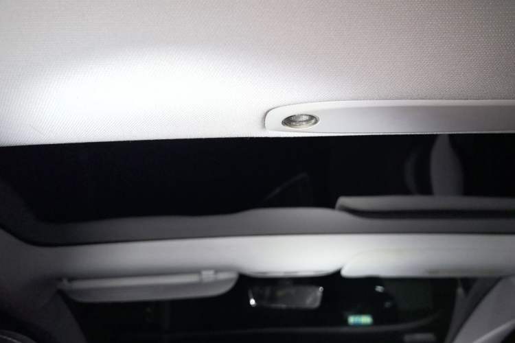 Used Tesla Model 3 2021 Performance High-Performance All-Wheel-Drive Version Headliner