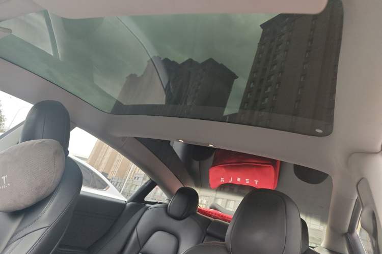 Used Tesla Model 3 2021 Standard Range Rear-Drive Upgraded Version Headliner